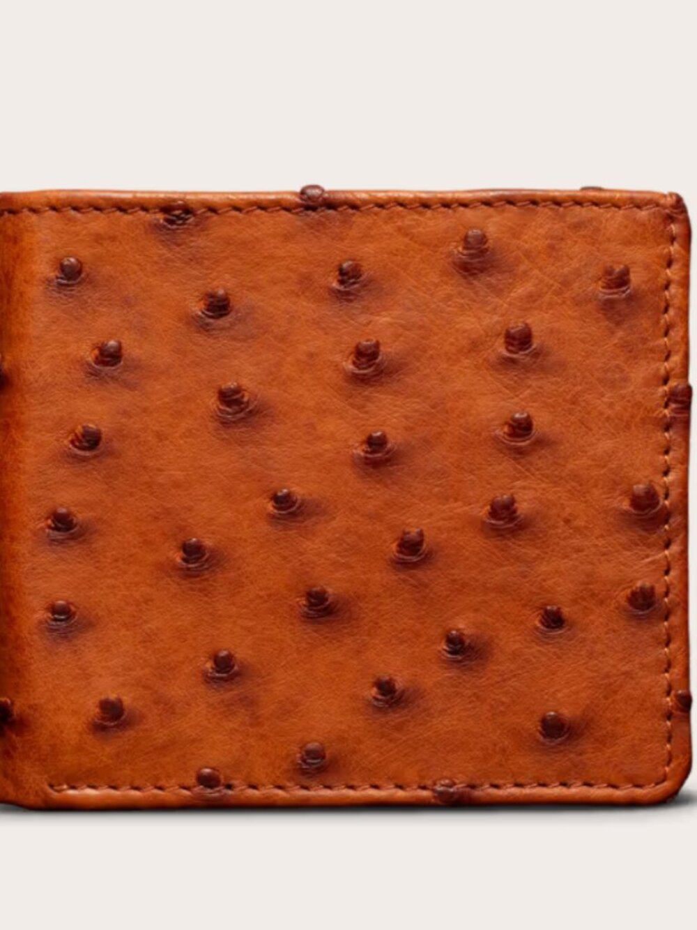 Tecovas Ostrich Billfold